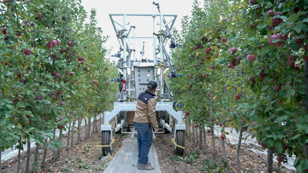 Harvesting Vehicles fruit