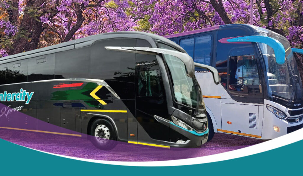 Explore how intercity transport vehicles connect cities efficiently 